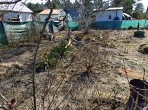 Działka rod Opole, ul. Częstochowska. Zdjęcie 2