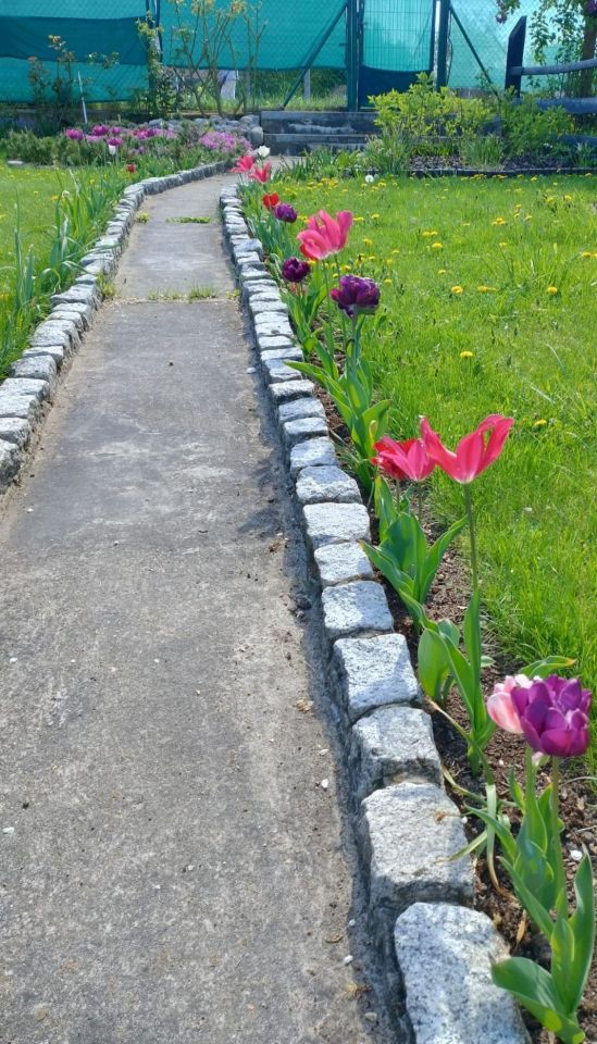 Działka rod Szczecin Gumieńce, ul. Ku Słońcu. Zdjęcie 10