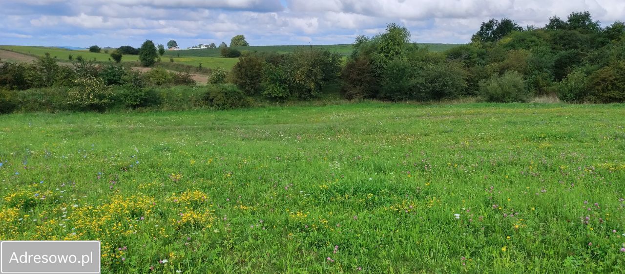 Działka rolna Tłokowo. Zdjęcie 5
