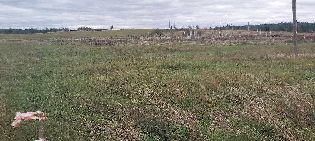 Działka rolno-budowlana Kuty. Zdjęcie 3