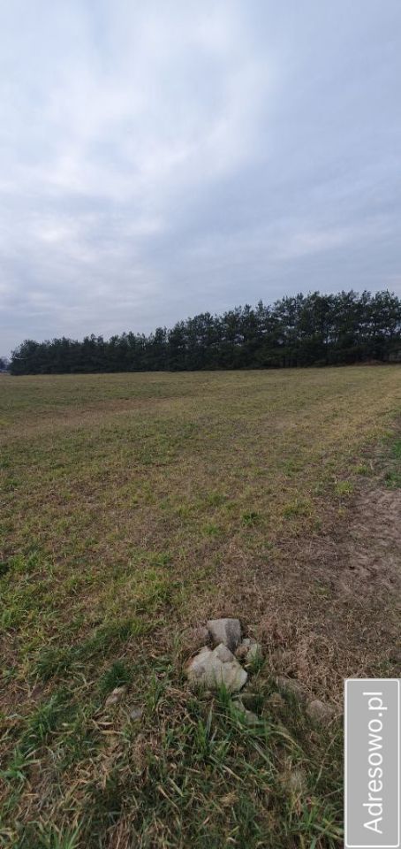 Działka budowlana Czeszewo. Zdjęcie 2