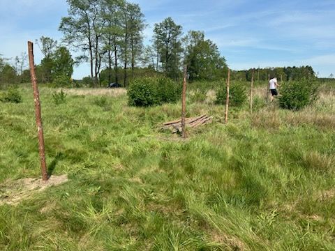 Działka budowlana Stare Krasnodęby. Zdjęcie 6