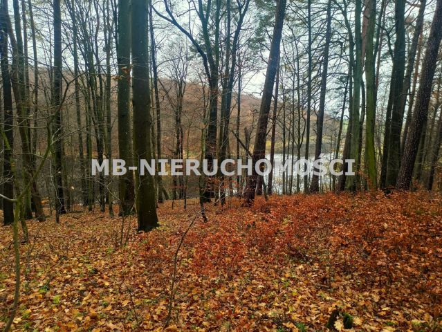 Działka rekreacyjna Skarpa. Zdjęcie 3