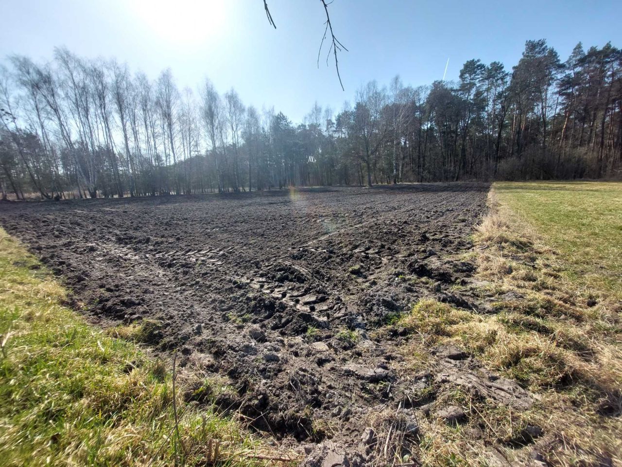 Działka budowlana Serniki-Kolonia. Zdjęcie 2