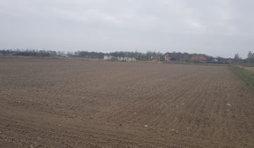 Działka rolna Wilkszyn, ul. Skowronkowa