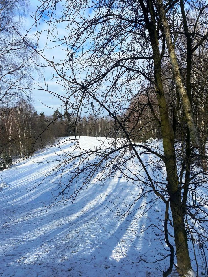 Działka rolno-budowlana Smardzew. Zdjęcie 19