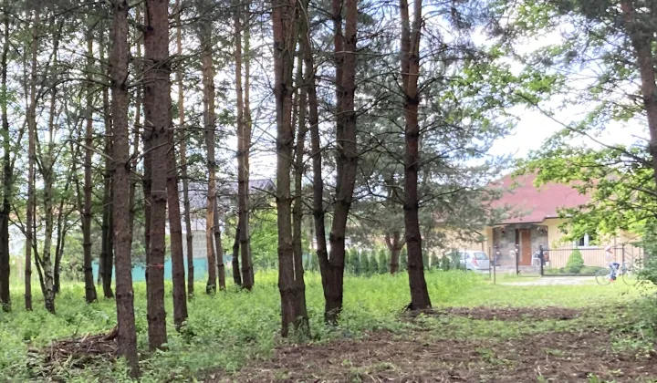 Działka inna Ustanów, ul. Długa