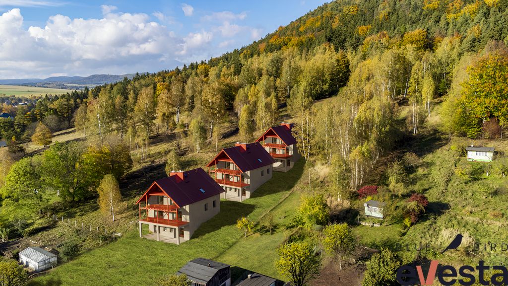 dom wolnostojący, 10 pokoi Szczytna Szczytnik, ul. Leśna