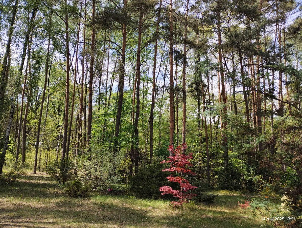 Działka budowlana Zofiówka, ul. Cienista. Zdjęcie 20