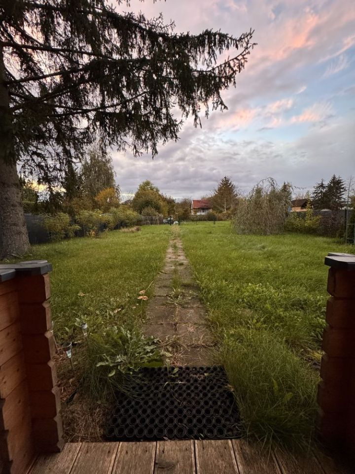 Działka rod Toruń. Zdjęcie 3