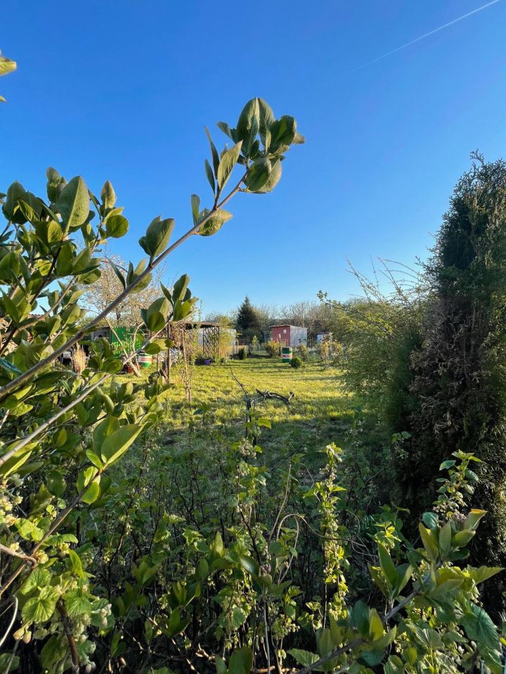 Działka rekreacyjna Gdynia Cisowa, ul. Pucka