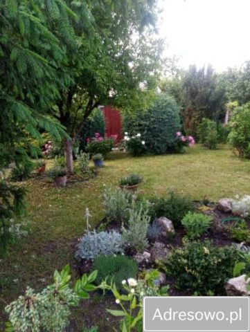 Działka rekreacyjna Kraków Zwierzyniec. Zdjęcie 1