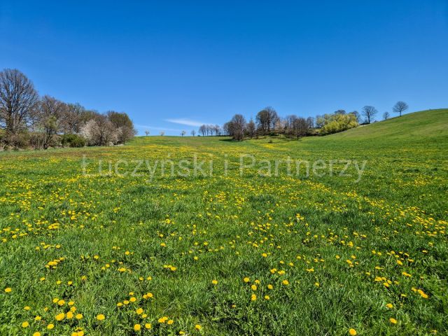 Działka siedliskowa Dębowy Gaj. Zdjęcie 11