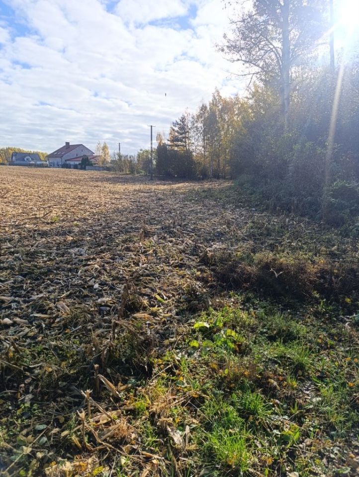Działka rolno-budowlana Słoszewo-Kolonia. Zdjęcie 2
