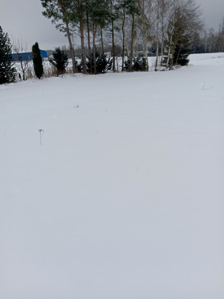 Działka inwestycyjna Augustów Wójtowskie Włóki, ul. Rajgrodzka. Zdjęcie 4