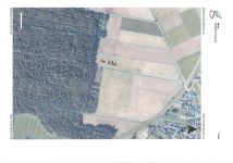 Działka rolna Żabiny. Zdjęcie 1