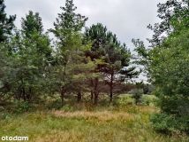 Działka siedliskowa Witowąż. Zdjęcie 3