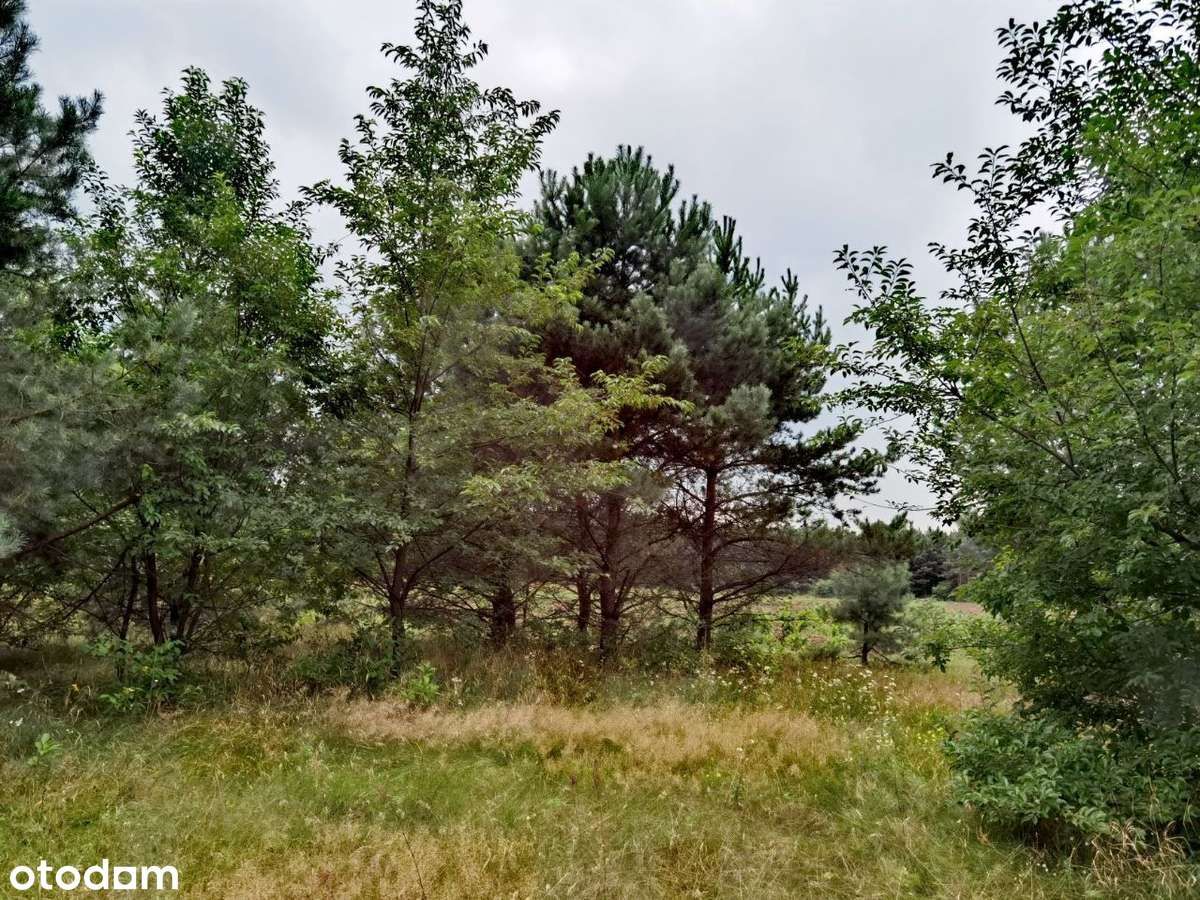 Działka siedliskowa Witowąż. Zdjęcie 4