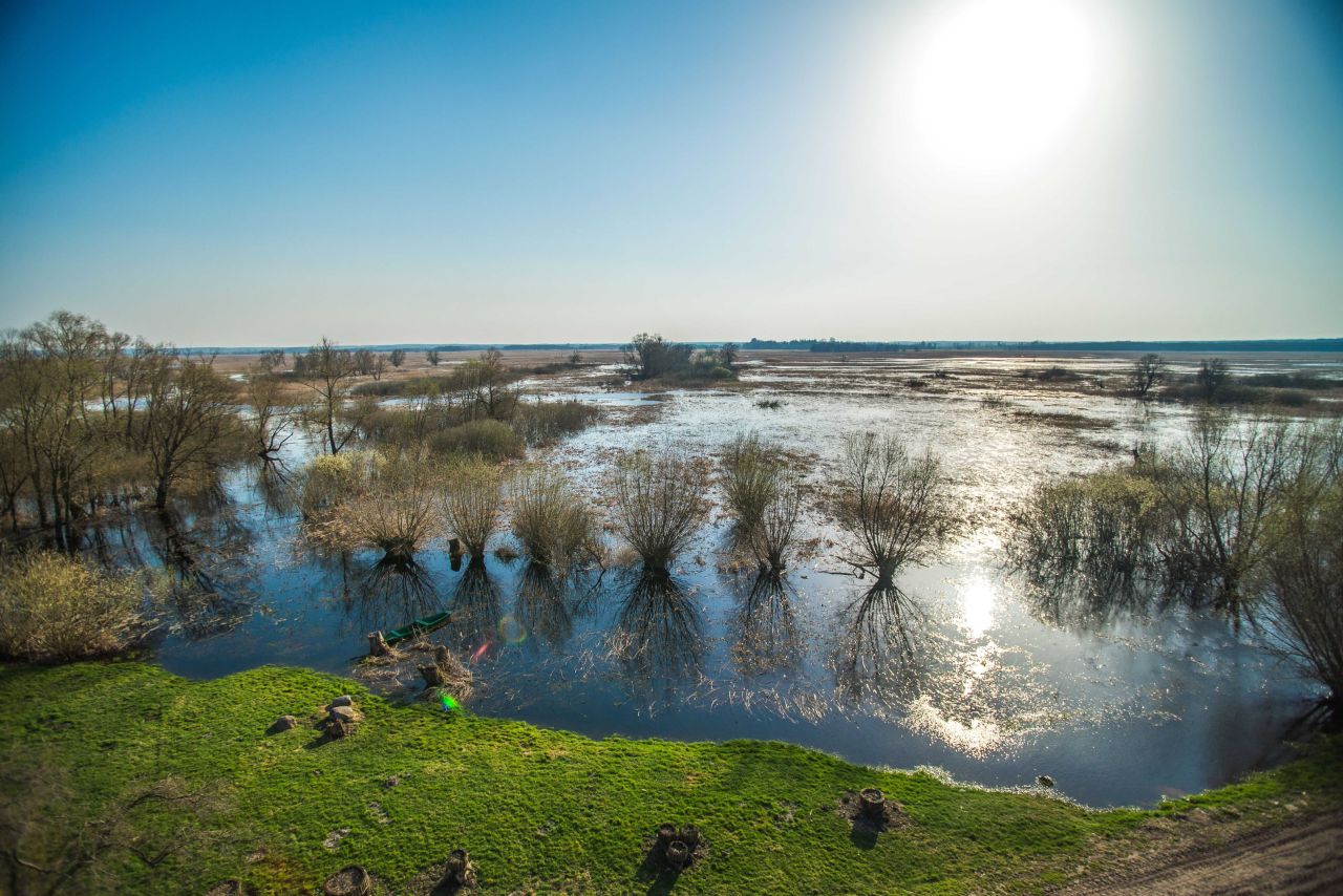dom wolnostojący Kruszewo. Zdjęcie 8
