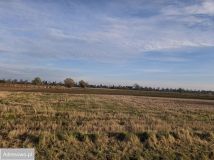 Działka rolno-budowlana Gdańsk Świbno. Zdjęcie 3