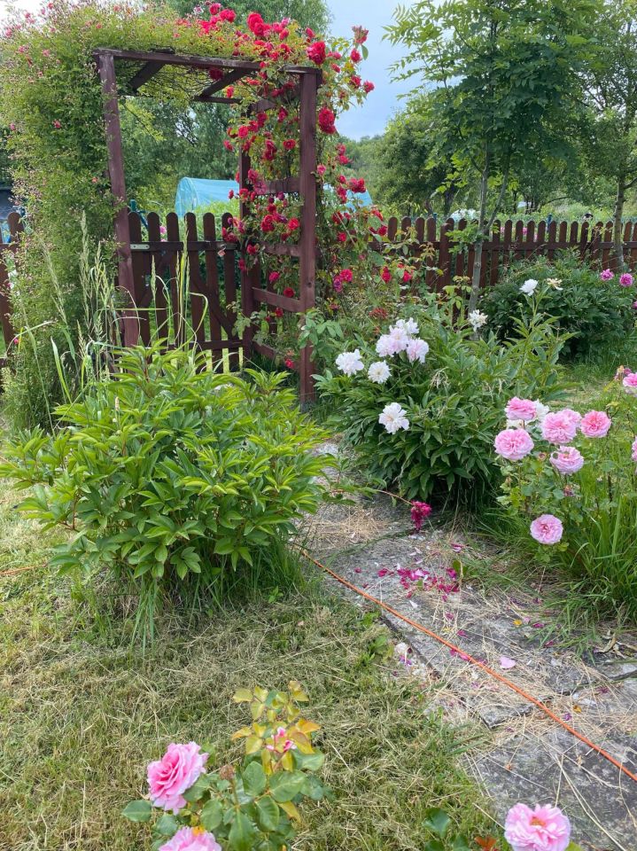 Działka rod Lublin, ul. Zawilcowa. Zdjęcie 5