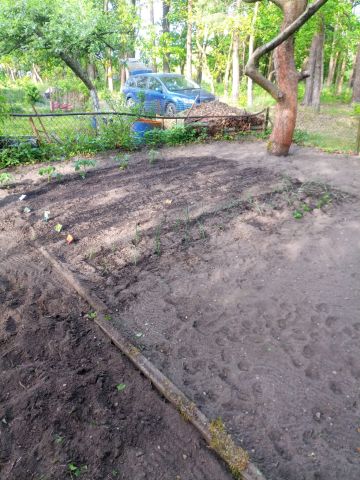 Działka rod Zielona Góra Jędrzychów, Rod 35-lecia. Zdjęcie 1