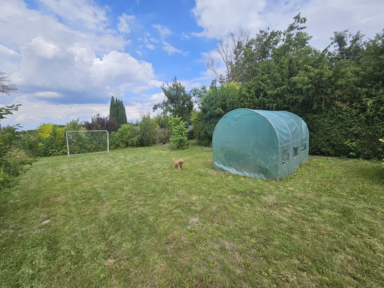 Działka rod Wieluń. Zdjęcie 4