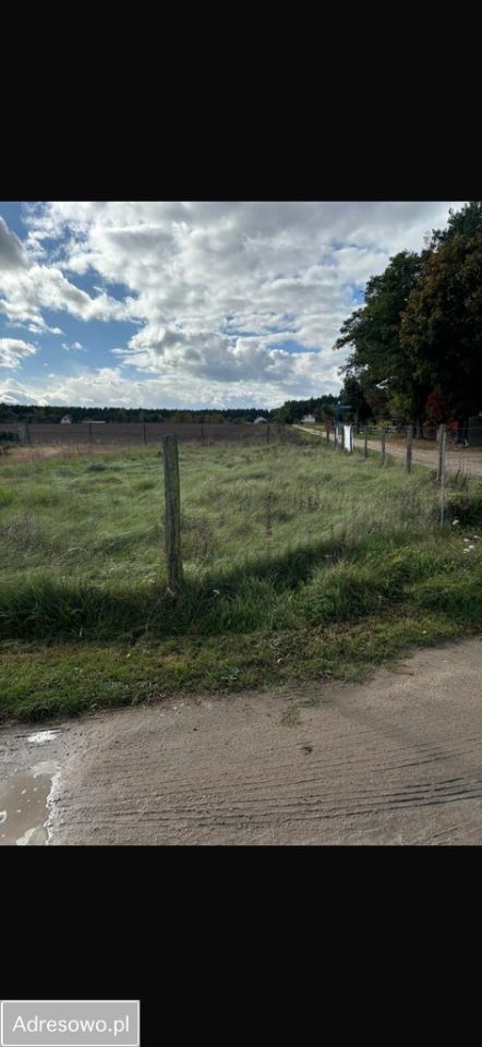 Działka budowlana Dominice. Zdjęcie 2