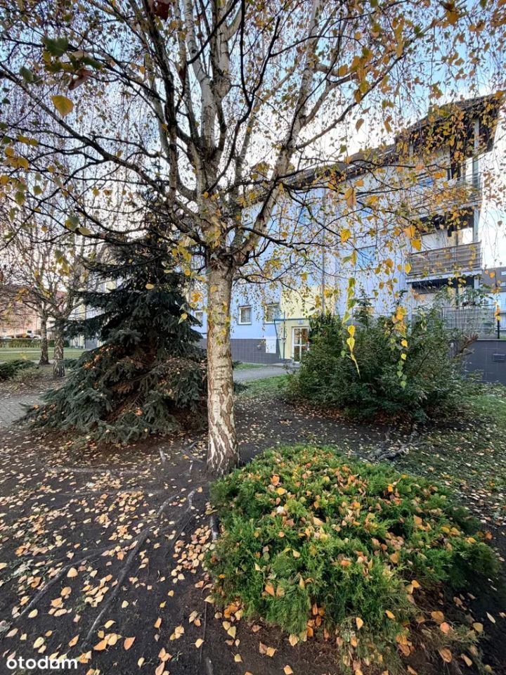 Mieszkanie 2-pokojowe Wrocław Gaj, ul. Strońska. Zdjęcie 17