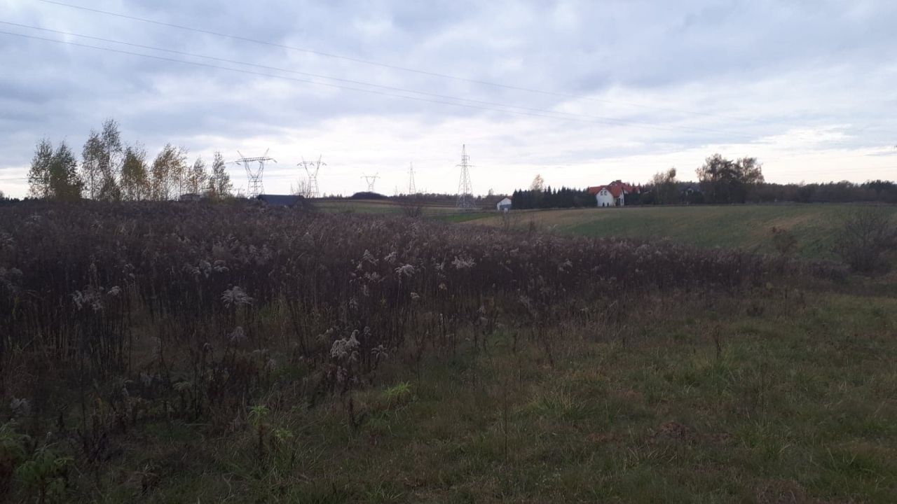 Działka rolno-budowlana Pliszczyn. Zdjęcie 4