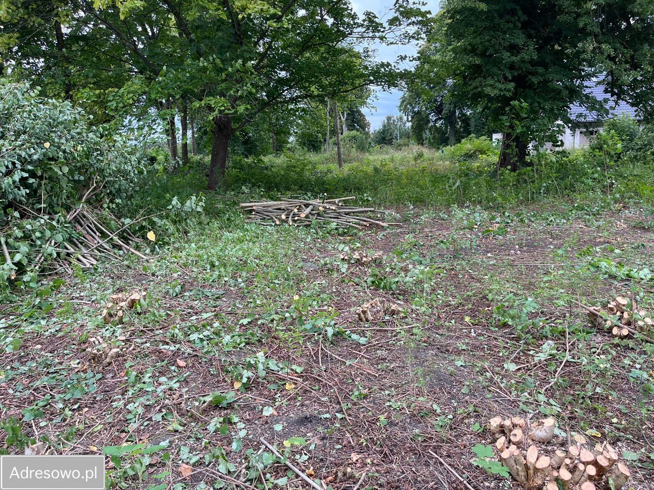 Działka budowlana Niestkowo, ul. Starowiejska. Zdjęcie 3