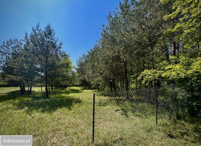 Działka budowlana Spychowo, ul. Łąkowa. Zdjęcie 7