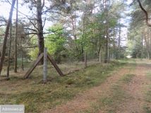 Działka siedliskowa Piękocin. Zdjęcie 2