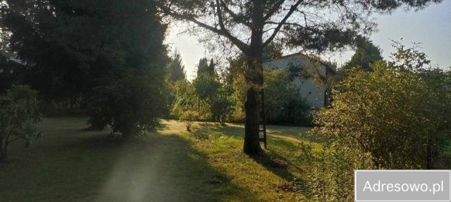 Działka rod Anielin Swędowski. Zdjęcie 1