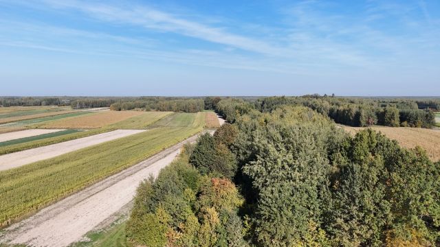 Działka Gwizdów. Zdjęcie 1