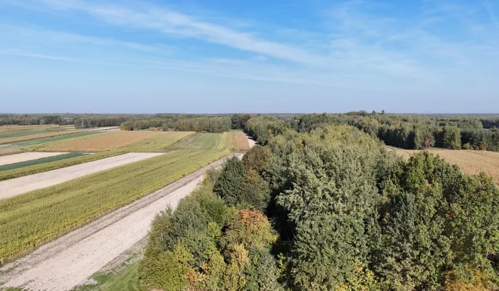 Działka Gwizdów