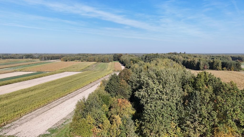 Działka Gwizdów. Zdjęcie 1