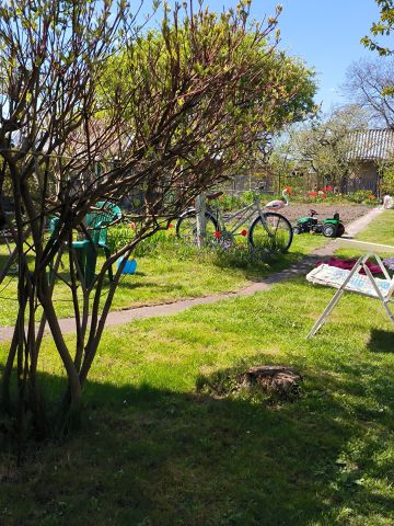 Działka rekreacyjna Krapkowice, os. 1000-lecia. Zdjęcie 1