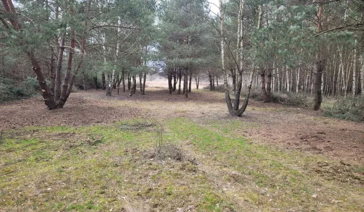 Działka rolno-budowlana Jesionka