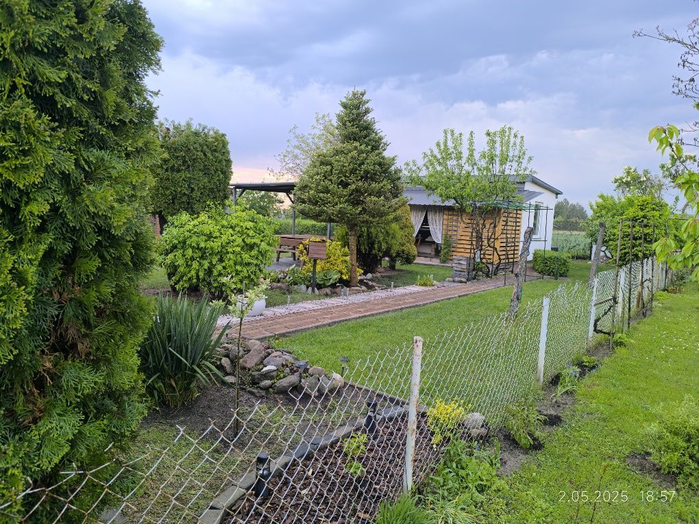 Działka rod Wieniec-Zalesie, ul. Ziębia