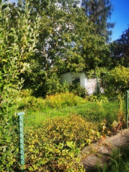 Działka rod Sopot Świemirowo, ul. Mikołaja Reja. Zdjęcie 3