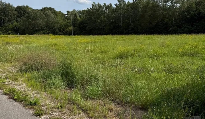 Działka budowlana Teresin-Gaj, ul. Książęca