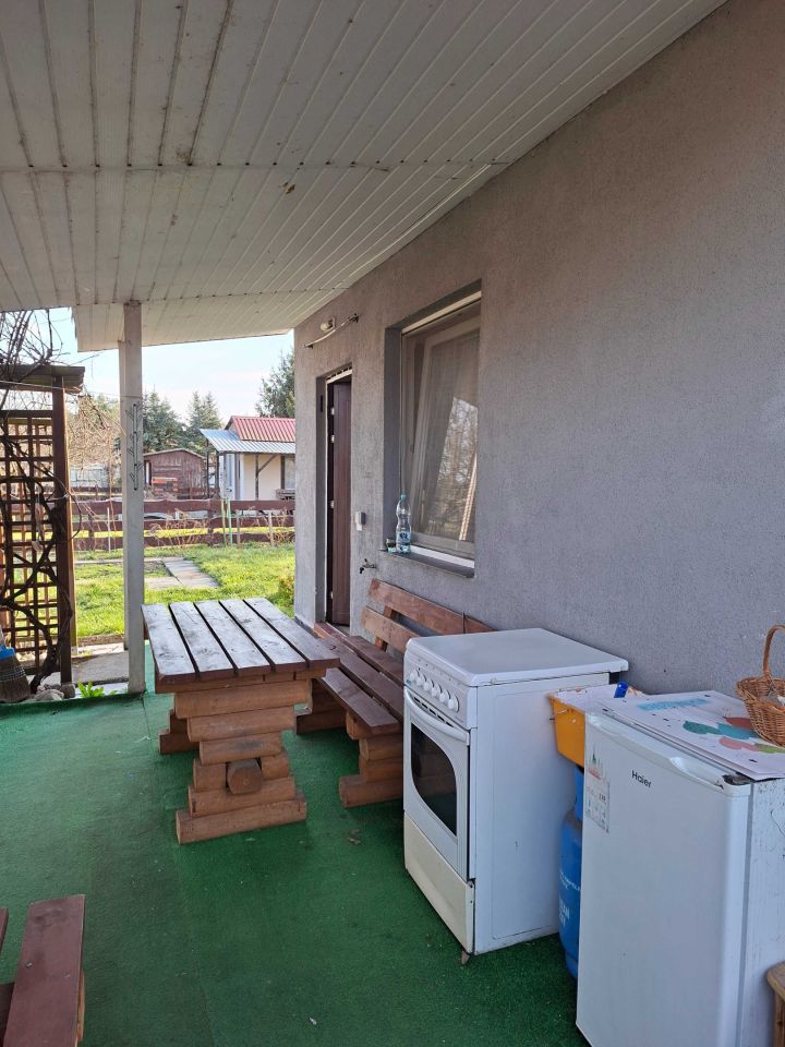 Działka rod Czerwieńsk. Zdjęcie 3