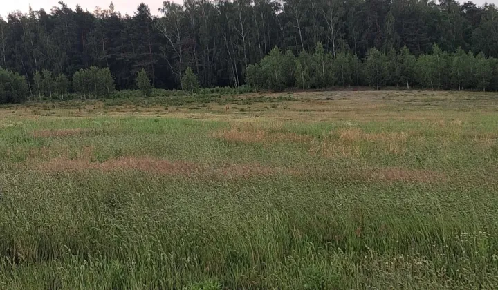 Działka rekreacyjna Ziewanice