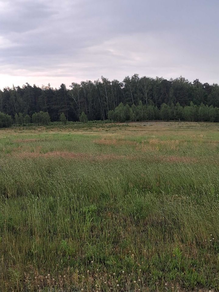 Działka rekreacyjna Ziewanice. Zdjęcie 1