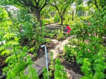 Działka rod Bydgoszcz, ul. Toruńska. Zdjęcie 2