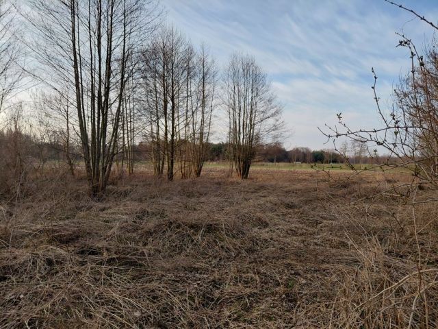 Działka rekreacyjna Wola Jabłońska. Zdjęcie 1