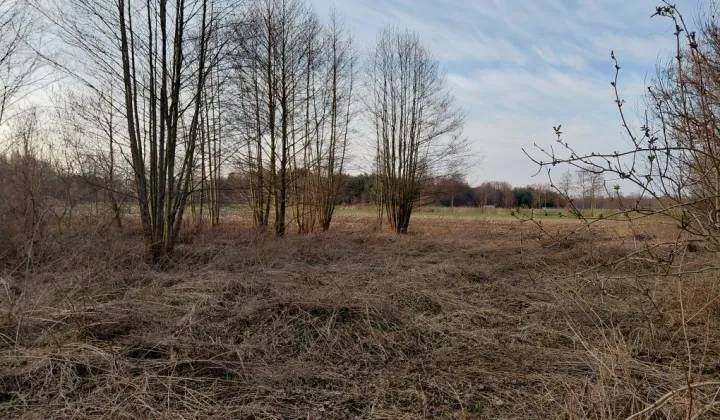 Działka rekreacyjna Wola Jabłońska