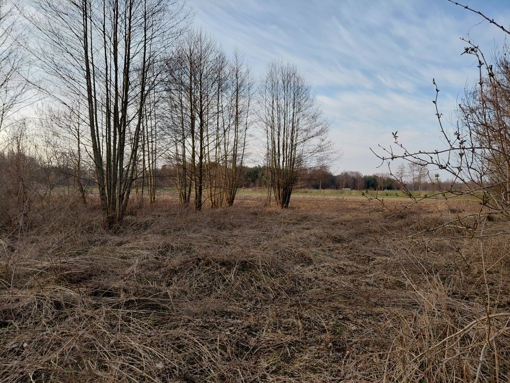 Działka rekreacyjna Wola Jabłońska. Zdjęcie 1