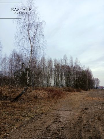 Działka budowlana Koryta. Zdjęcie 2